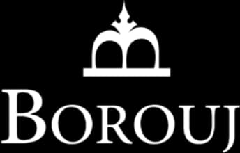 Borouj logo