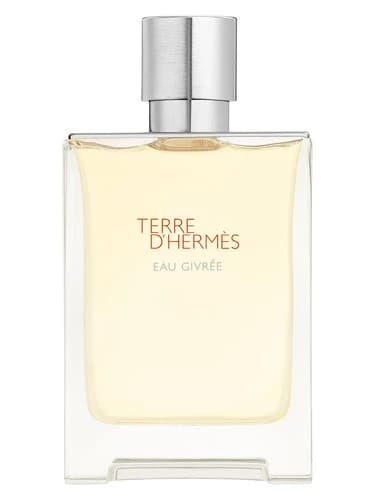 Hermès Terre d'Hermès Eau Givrée