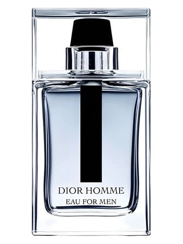 Dior Homme