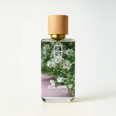 The DUA Brand Regal Jasmine