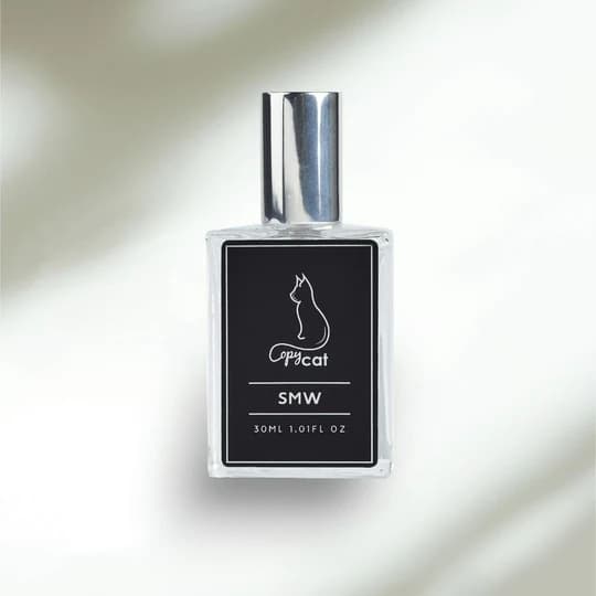 Copycat Fragrances Inspired by Silver Mountain Water
