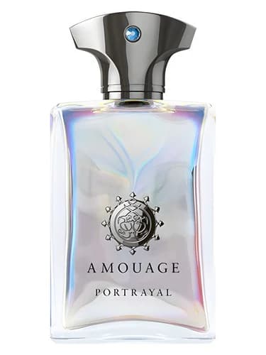 Amouage Portrayal Man
