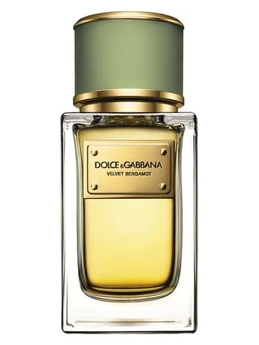 Dolce & Gabbana Velvet Bergamot