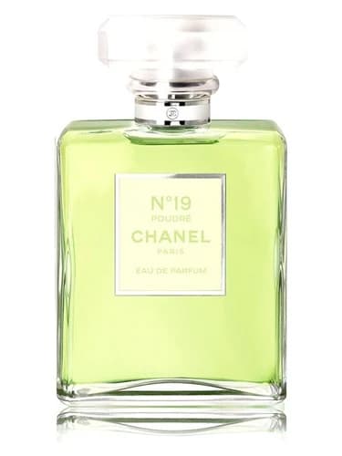 Chanel Chanel No. 19 Poudre