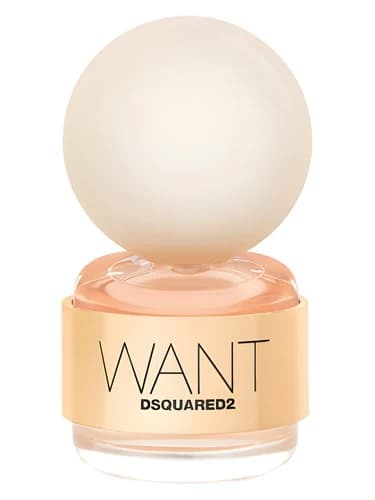 Dsquared2 Want