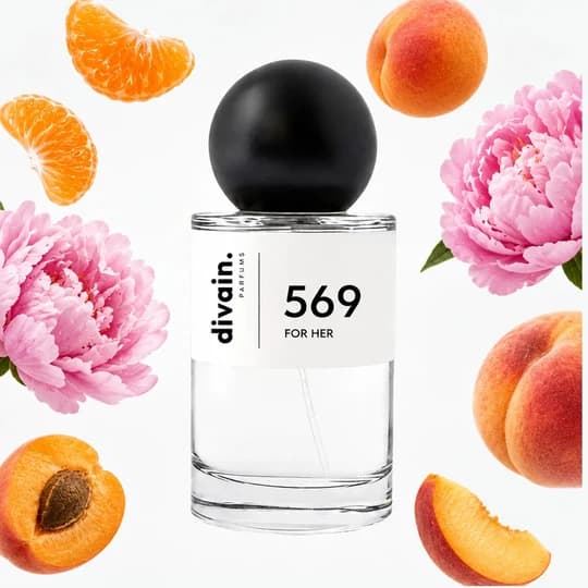 divain. 569