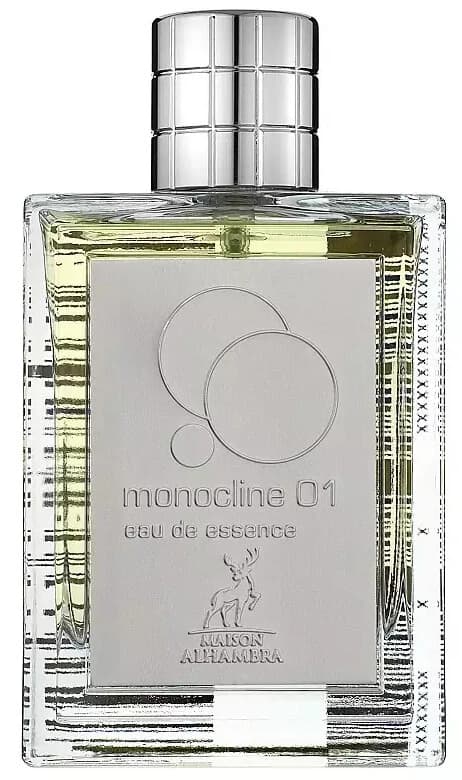 Maison Alhambra Monocline 01