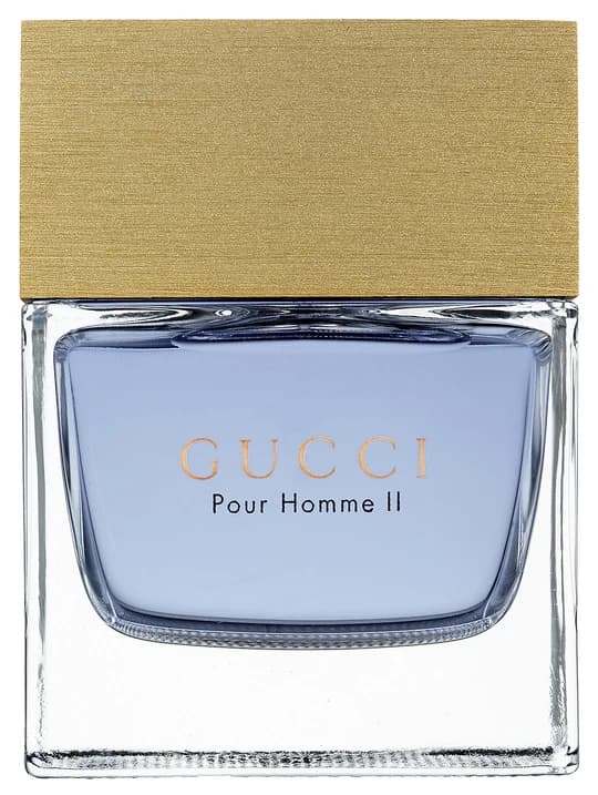 Gucci Gucci Pour Homme II