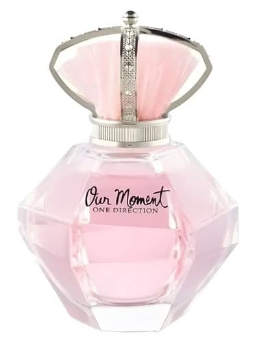One Direction Our Moment