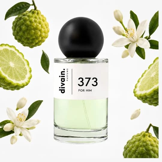 divain. 373