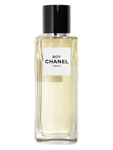 Chanel Boy Chanel