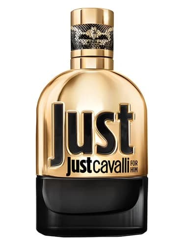 Roberto Cavalli Just Cavalli Gold for Him