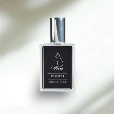 Copycat Fragrances Inspired by Olympea