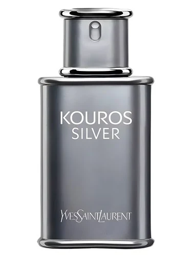 Yves Saint Laurent Kouros Silver