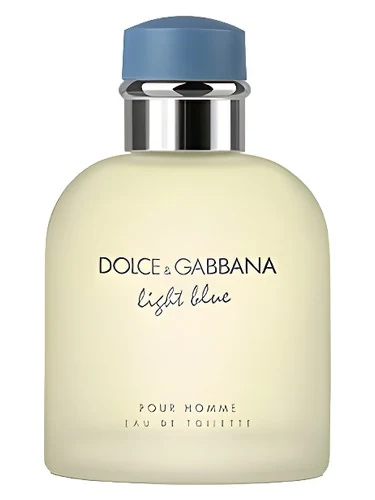 Dolce & Gabbana Light Blue Pour Homme