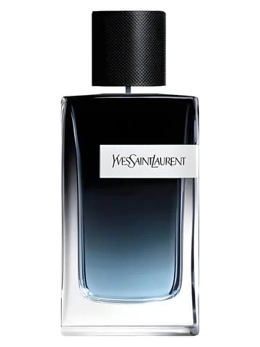 Yves Saint Laurent Y