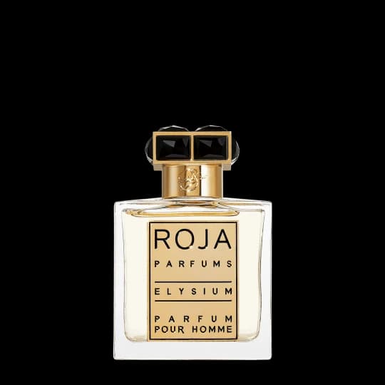 Roja Elysium Pour Homme Parfum