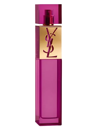 Yves Saint Laurent Elle
