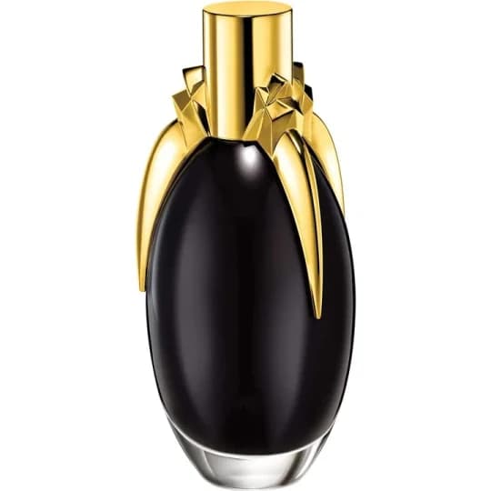Lady Gaga Fame