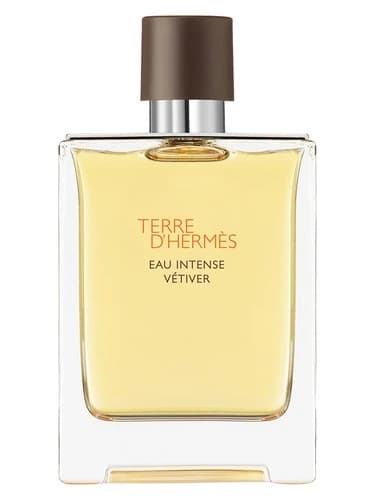 Hermès Terre d'Hermès Eau Intense Vétiver